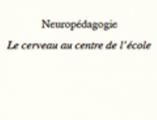 institut FSU : Neuropédagogie, Le cerveau au centre de l’école