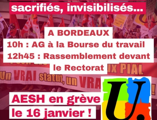 16 janvier 25, MOBILISATION et GREVE pour les AESH