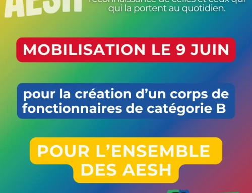 AESH : un vrai métier, un vrai corps de fonctionnaire ! Toutes et tous mobilisé.es le mardi 9 juin